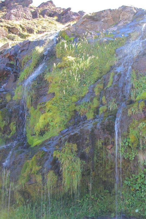 Tongariro Adventures Bed & Breakfast Kuratau Ngoại thất bức ảnh
