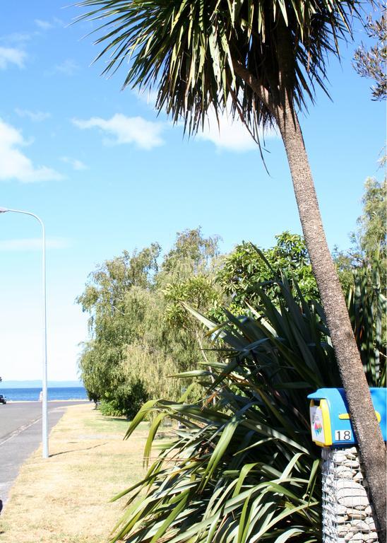 Tongariro Adventures Bed & Breakfast Kuratau Ngoại thất bức ảnh